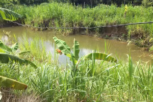 Nhảy xuống nước cứu con đuối nước, 2 mẹ con tử vong.