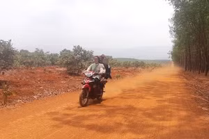 Học sinh cấp 2 điều khiển xe máy chở quá số người quy định và không đội mũ bảo hiểm.