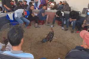 Để qua mắt lực lượng chức năng nhóm người sử dụng bia và thuốc lá thay tiền.