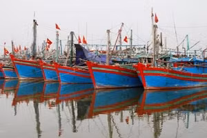 Thanh Hóa sẽ kiên quyết xử lý nghiêm đối với các trường hợp tàu cá vi phạm, đặc biệt các tàu cá “ba không”. (Ảnh: minh hoạ)