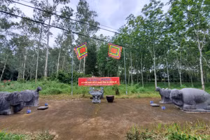 Dấu tích còn sót lại của kinh đô Vạn Lại - Yên Trường.