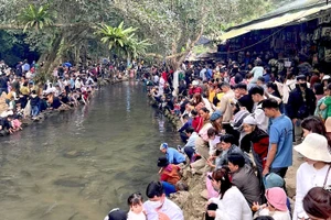 Khu du lịch Suối cá Cẩm Lương (Cẩm Thuỷ) đón hàng chục nghìn lượt khách dịp Tết nguyên đán 2024. (Ảnh: NT)