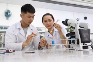 Sinh viên Cao đẳng Dược thực hành nghiên cứu. Ảnh minh họa