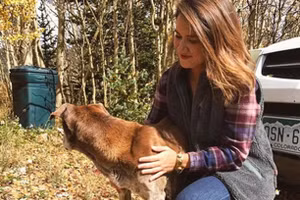 Lời đồn về tiếng chó sủa như tiếng người khóc, cô gái quyết tâm tìm ra sự thật