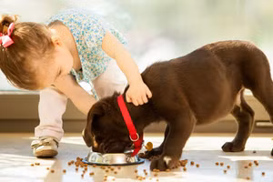 Ảnh minh hoạ: INT.