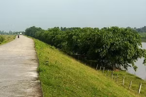 Hiện nay, đê hai bờ sông Hồng có điểm không hợp lý. Có nơi khoảng cách giữa hai đê rất hẹp, chỉ chừng 1,1km, như đoạn ở cầu Long Biên, song cũng có nơi khoảng cách rất rộng, lên tới 5km.