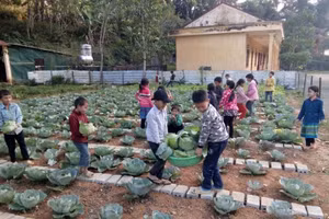 Học tập theo tấm gương của Bác, giúp đội ngũ GV, HS Trường THCS Lương Yên có tác phong làm việc khoa học, hiệu quả. Ảnh: Hà Anh
