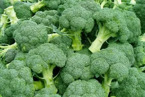 11 loại thực phẩm hầu như không chứa calo, tốt cho việc giảm cân