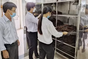 Khu vực chế biến rong biển của nhóm sinh viên Trung cấp Chế biến thực phẩm - Trường Trung cấp nghề Phú Yên.
