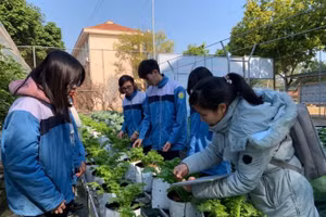 HS Trường THPT chuyên Lào Cai (Lào Cai) học và nghiên cứu ngay trên vườn thí nghiệm. Ảnh: Đức Trí