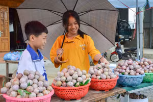 Học sinh tham gia bán mận.