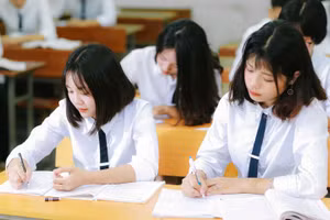 Nhiều thí sinh đã chọn đăng ký dự thi tốt nghiệp THPT và xét tuyển đại học bằng phương thức trực tuyến. Ảnh: INT