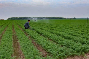 Hệ thống thông tin nông nghiệp được kỳ vọng sẽ giúp tỉnh Bắc Ninh đưa ra những quyết sách quan trọng trong lĩnh vực nông nghiệp. Ảnh: Internet