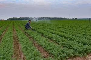 Hệ thống thông tin nông nghiệp được kỳ vọng sẽ giúp tỉnh Bắc Ninh đưa ra những quyết sách quan trọng trong lĩnh vực nông nghiệp. Ảnh: Internet