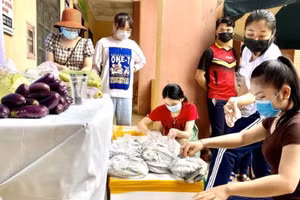 Nhiều chương trình hỗ trợ được các trường kết nối thực hiện. Ảnh: Xuân Hùng