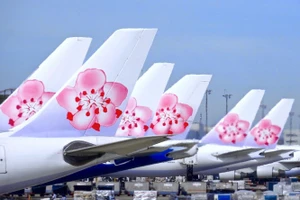 Hoa mơ ta hiện là biểu tượng / logo của 中華航空公司/ Trung Hoa hàng không công ty / China Airlines.