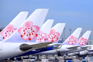 Hoa mơ ta hiện là biểu tượng / logo của 中華航空公司/ Trung Hoa hàng không công ty / China Airlines.