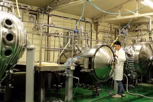 TS Hồ Thanh Tâm trong phòng nuôi cấy sinh khối tại Hàn Quốc. 