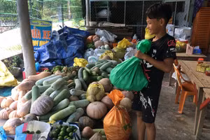 Các em học sinh vượt cả chặng đường xa mang lương, thực phẩm đến để gửi ủng hộ người dân miền Nam.