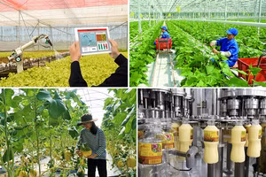 Các sản phẩm nông nghiệp Việt đang dần khẳng định vị thế tại các thị trường toàn cầu. Ảnh minh họa.