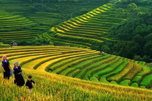 Tính dân tộc trong bài thơ “Việt Bắc” được biểu hiện trước hết ở phương diện nội dung - qua cách nhìn, cách cảm, cách miêu tả của nhà thơ về thiên nhiên và con người Việt Bắc. Ảnh minh họa: Nguồn IT