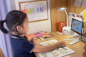 Học sinh Trường Tiểu học Đoàn Thị Điểm - Hà Nội học trực tuyến.