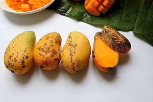 Xoài nổi chỉ đen có ăn được không?