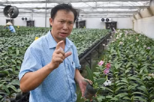 PGS.TS Đặng Văn Đông, Phó Viện trưởng Viện Nghiên cứu rau quả.