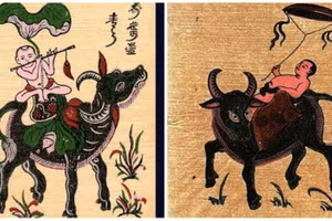 Con Trâu trong biểu tượng văn hóa tín ngưỡng của người Việt.