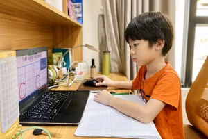 Học sinh học trực tuyến dài ngày dễ nảy sinh các vấn đề về tâm lý. Ảnh minh họa