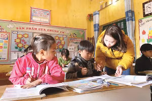 Với học sinh tiểu học, giáo viên cần khuyến khích làm văn theo suy nghĩ, cảm nhận… và chữa bài để các em mau tiến bộ. Ảnh: Đức Trí
