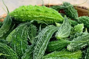 Mướp đắng có công dụng thanh nhiệt, giải độc, làm mát cơ thể. Ảnh minh họa/INT.