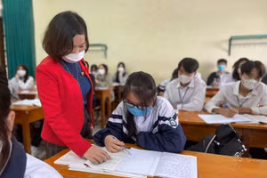 Giáo dục - một trong những lĩnh vực được UBND Hà Tĩnh ưu tiên tuyển dụng thu hút nguồn lao động chất lượng cao. Ảnh: TG