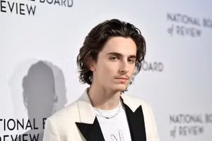 Timothée Chalamet với khuôn mặt điển trai, đầy chất điện ảnh.