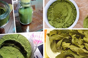 Lá chè già được tận dụng làm ra nhiều nguyên liệu khác nhau.