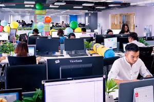 Nhu cầu nhân lực CNTT đang rất khát tại Việt Nam.