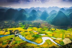 Ảnh minh hoạ: Internet