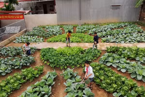 Ảnh minh họa/INT