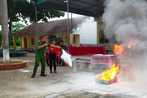 Ảnh minh họa