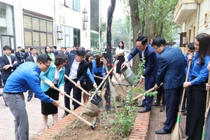 Lãnh đạo và đoàn viên thanh niên ba cơ quan tham gia trồng cây xanh tại khuôn viên giữa ba cơ quan.