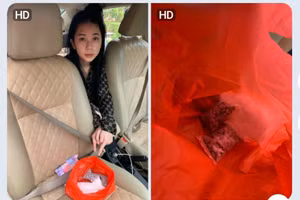 Hồ Thị Thùy Trang và tang vật cơ quan chức năng bắt giữ.