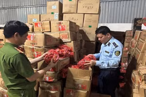 Lực lượng chức năng kiểm tra số thực phẩm.