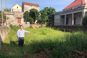 Mảnh đất mà gia đình ông Nguyễn Bá Cao đang xảy ra tranh chấp, khiếu kiện nhưng vẫn được UBND huyện Nam Sách cấp "sổ đỏ" cho người khác.