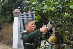 Cựu chiến binh, thiếu tá Lê Hồng Trương. Ảnh: LT.