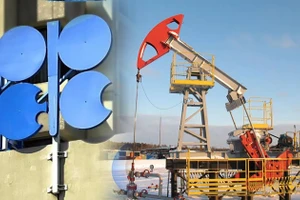 Tổ chức OPEC đối diện nguy cơ bị phá hủy từ bên trong