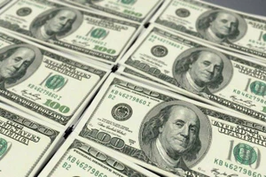 Nhà kinh tế học người Mỹ dự đoán USD mất vị thế trong 10 năm tới