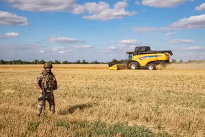 Kiev đã tìm ra cách đưa ngũ cốc qua Biển Đen vượt phong tỏa?