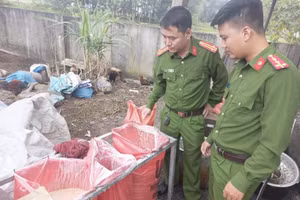 Lực lượng Cảnh sát Môi trường tiến hành kiểm tra cơ sở kinh doanh của bà Nguyễn Thị Hòa.