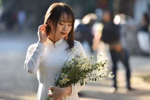 Cúc họa mi trở thành đạo cụ yêu thích để chụp hình của các bạn trẻ.