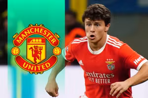 Joao Neves có cơ hội lớn gia nhập Man United.